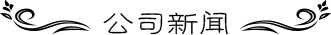 ˾