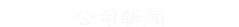˾